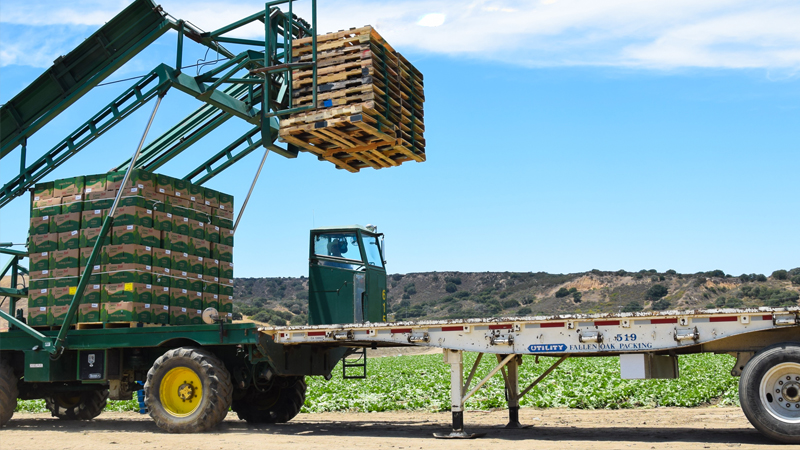food industry solutions