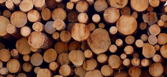 Timber Industry